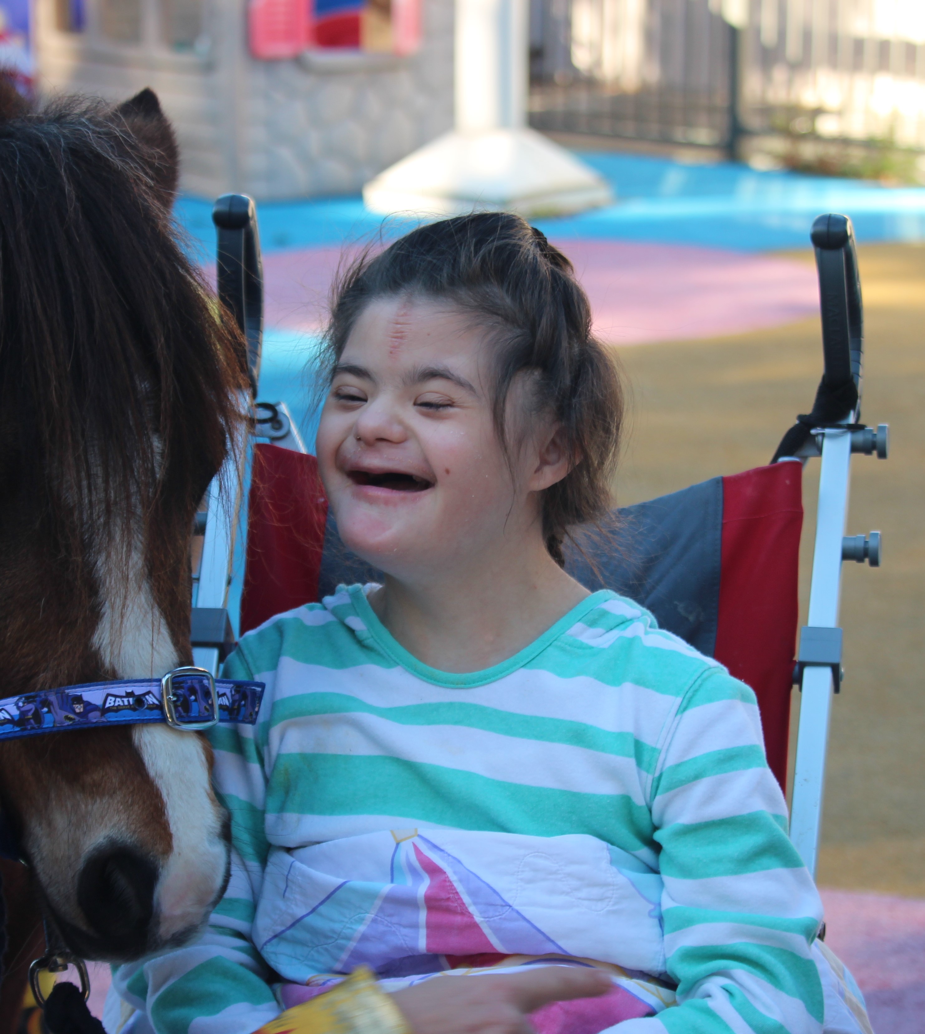 Horse With Down Syndrome